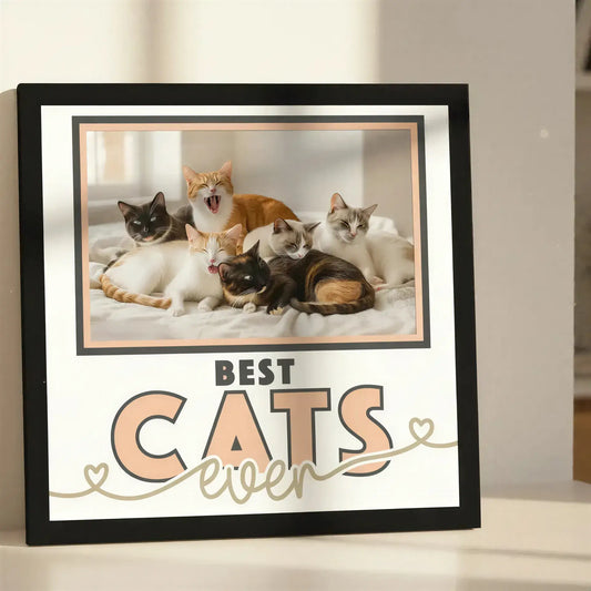 Decorative sign with 'BEST CATS EVER' text and heart design on a white background.